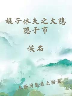 娘子休夫之大隱隱于市