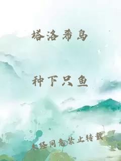 塔洛希島