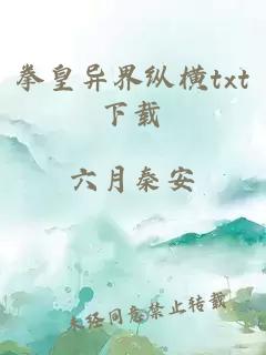 拳皇異界縱橫txt下載