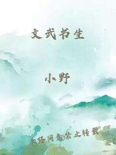 文武書生