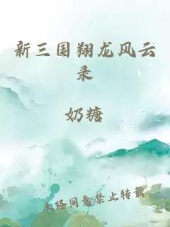 新三國翔龍風云錄