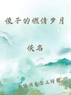 傻子的燃情歲月