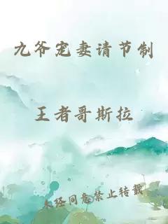 九爺寵妻請節制