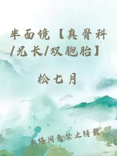 半面鏡【真骨科/兄長/雙胞胎】