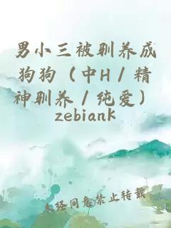 男小三被馴養成狗狗（中H／精神馴養／純愛）