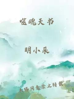 噬魂天書
