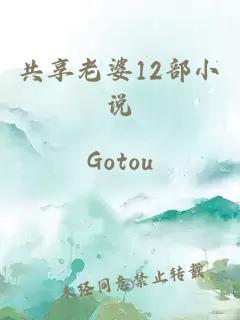共享老婆12部小說