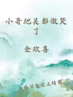 小哥把吳邪做哭了